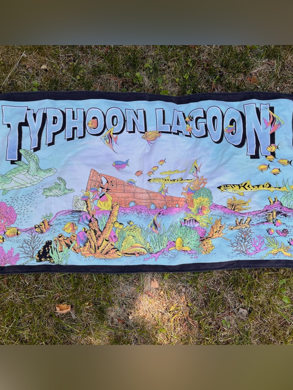 Vintage Disney Typhoon Lagoon Towel